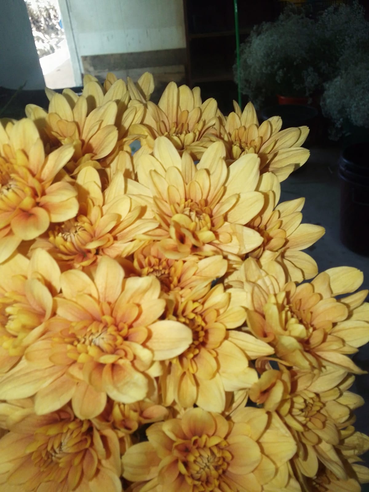 Gallery flower arrangement